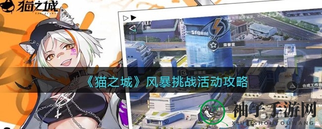 《猫之城》风暴挑战攻略：揭秘72小时冒险狂欢，勇者招募中！