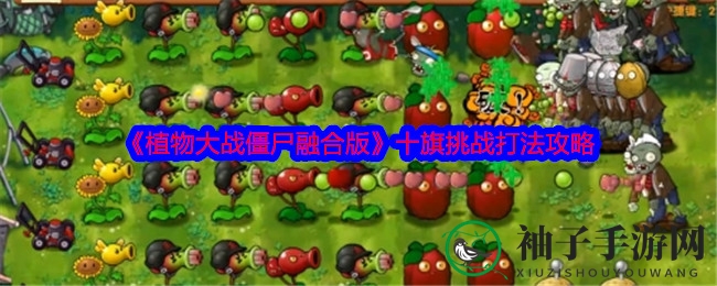 《植物大战僵尸融合版》通关秘籍：十旗挑战攻略全解析