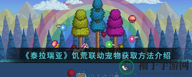 《泰拉瑞亚》联动宠物捕获攻略：轻松捕捉饥荒伙伴