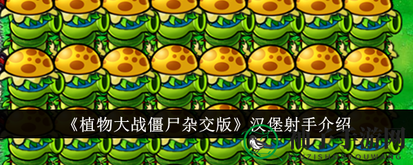 杂交奇才汉堡射手：揭秘植物大战僵尸中的阳光守护者