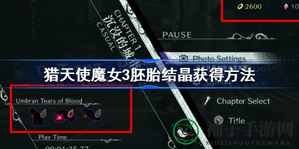 《猎天使魔女3》神秘结晶攻略，挑战极限赢取秘宝